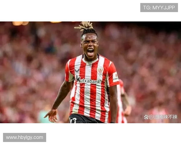 威廉姆斯耻骨炎拖垮毕巴赛季